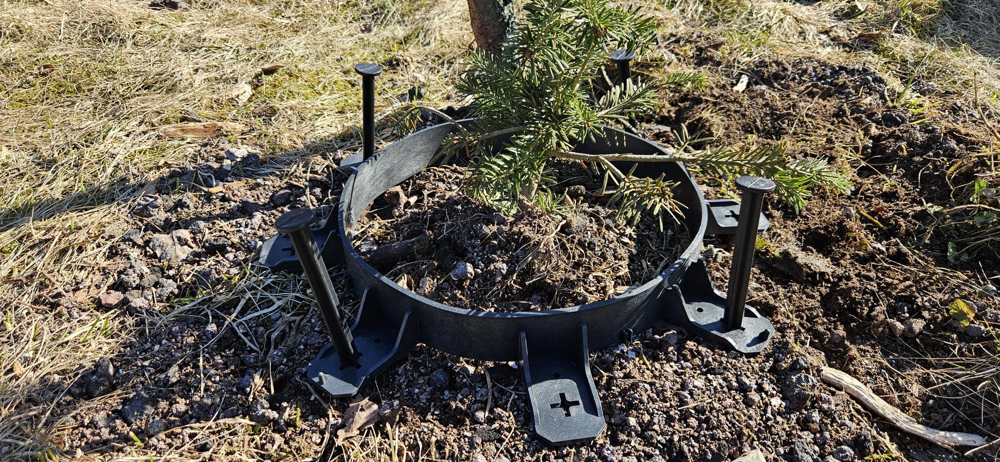 Plastový obrubník Multibord vytvarovaný do kruhu okolo stromčeka a upevnený klincami